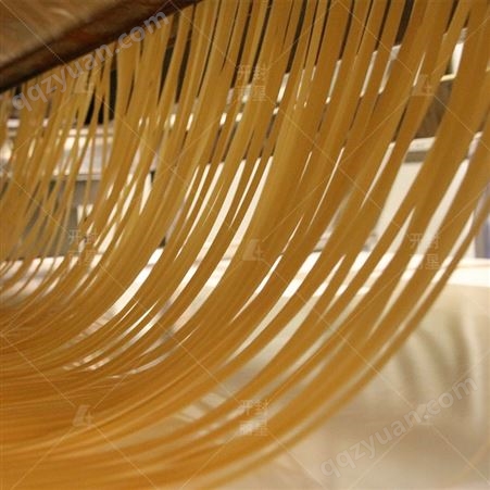 芭蕉芋粉丝生产线制造厂 6FJT系列红薯粉丝机生产线工艺 开封丽星