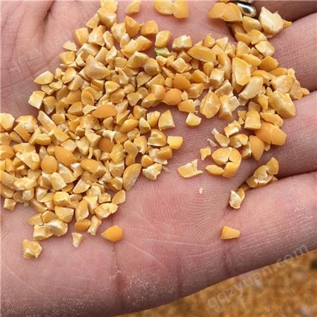 高粱玉米破碎机 酿酒用粮食粉碎机 拉丝对辊黄豆挤扁机