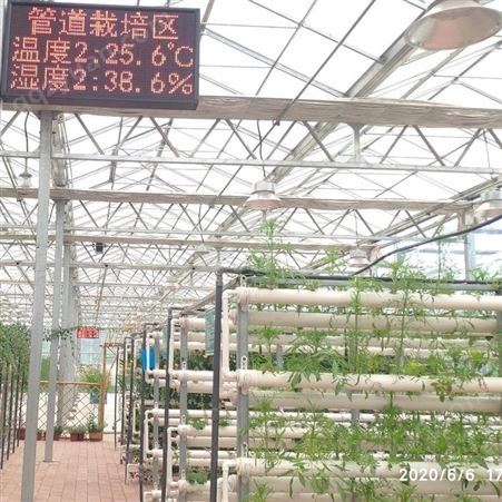 贵州毕节DX3372无土栽培玻璃温室大棚 蔬菜无土栽培温室建设 立体无土栽培设备专业建造厂家 中农智造