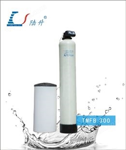 锅炉软化水设备TMFB300