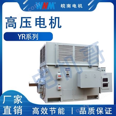 高压电机进相器  皖南电机YR系列高压三相异步电动机