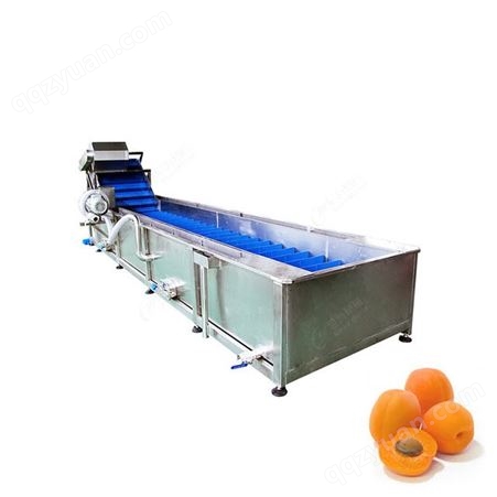 果蔬鼓泡清洗机  尼为机械加工定制款自动水果蔬菜清洗机械