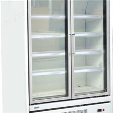 雪迎商用自携玻璃门柜冷冻展示柜饮料柜鲜奶蔬菜冷冻冰柜
