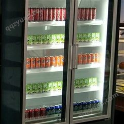 雪迎商用自携玻璃门柜冷冻展示柜饮料柜鲜奶蔬菜冷冻冰柜