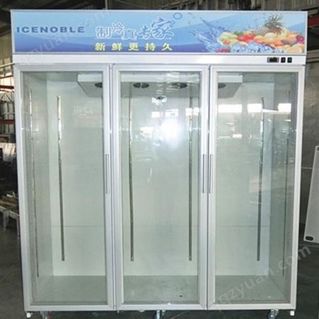 超市经济款立式无霜型风冷展示柜商用饮料可乐酸奶展示柜饮料柜