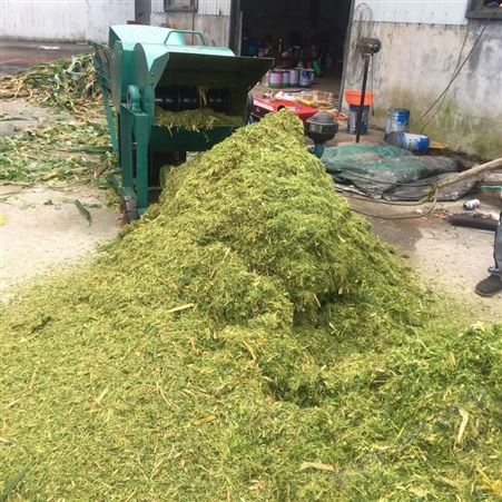 BF-稻草铡草机 干湿秸秆揉丝机 牛羊养殖揉丝机 保丰 6吨 厂家