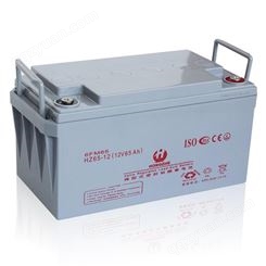 蓄电池厂家定制_蓄电池厂家生产销售_输出电压|12VDC