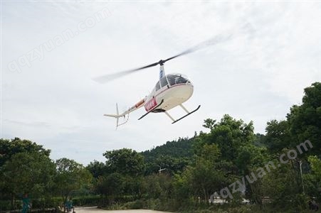 武汉小型直升机租赁公司 直升机开业 多种机型可选