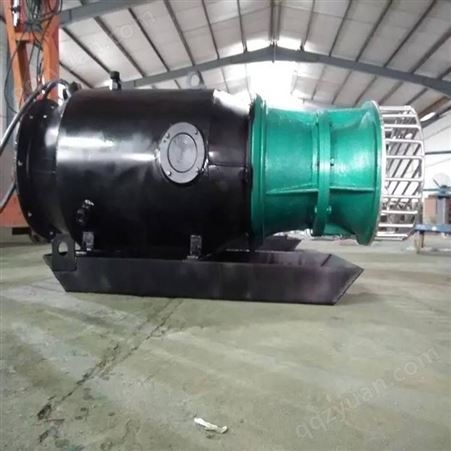 轴流泵-东坡泵业-定制大口径潜水轴流泵