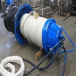不锈钢潜水轴流泵-卧式潜水轴流泵