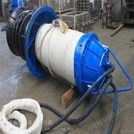销售不锈钢潜水轴流泵-大流量潜水轴流泵-东坡泵业