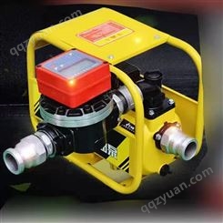 抽油泵柴油12v24v220v伏加油机计量自动加油吸抽油器大功率