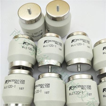日本FUJI 电流熔断器 富士电机 低压限流熔断器 BNN4F-030-21