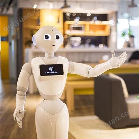 江西本地智能机器人租赁天租pepper机器人 迎宾接待