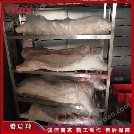 腾瑞翔生产 鱼类解冻机 肉制品解冻设备 鸡背解冻流水线 进口牛肉低温高湿缓化库