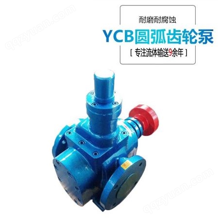供应YCB0.6/0.6圆弧齿轮泵 变压器油输送泵 合成粗酯输送泵 质保一年