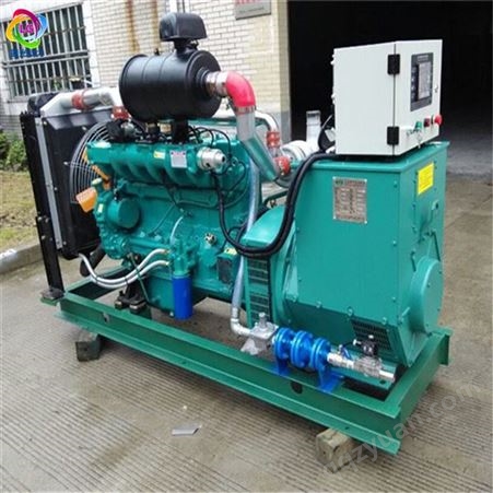 WEICHAI/潍柴50千瓦燃气发电机组 潍坊厂家提供50KW沼气发电机