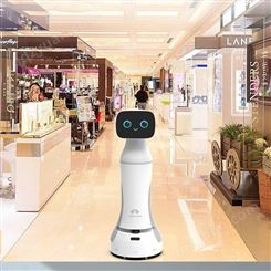 智能迎宾机器人直销商-智慧商用机器人价格-人工智能讲解机器人市场报价-机器人定制