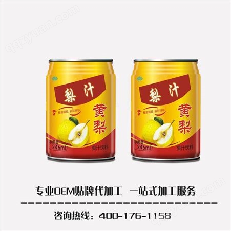 名启 柠檬汁 罐装水果饮料oem贴牌定制 口味定制 易拉罐果汁饮品 源头工厂