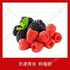 树莓粉天津秀谷 喷雾干燥树莓粉速溶质细食品树莓粉 20kg/箱