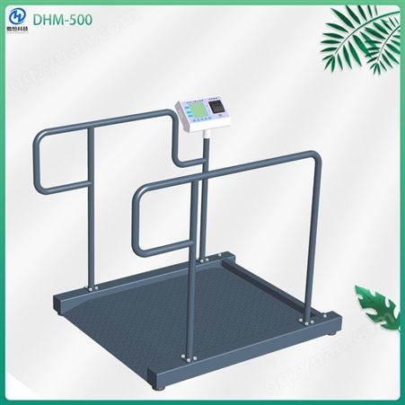尼岛机电透析秤DHM-500 透析体重秤 双扶手设计 使用方便