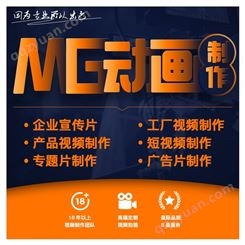 早尚传播卫视团队服务 深圳mg动画制作公司