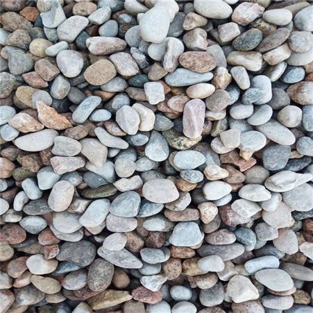 大量供应鹅卵石 过滤河卵石 护坡庭院五彩石头