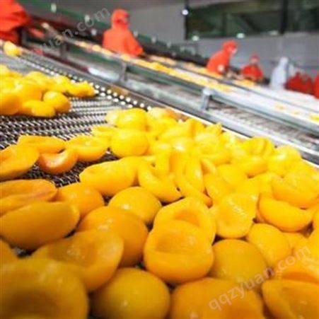 水果罐头食品 即食糖水黄桃罐头 巨鑫源工厂 供应加工 出口