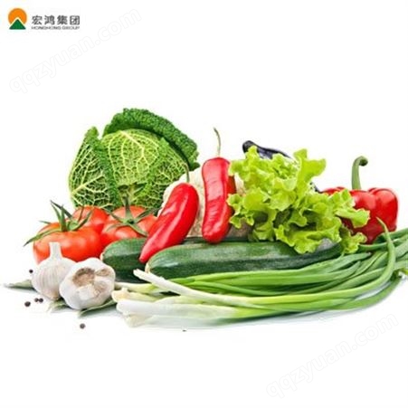 宏鸿集团 :  蔬菜配送 蔬菜配送公司、农副产品配送等全品类一站式配送