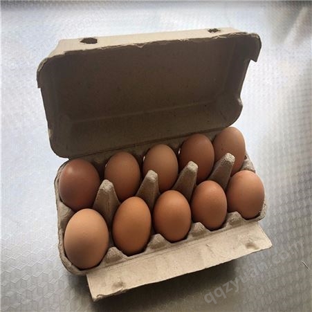 10枚鸡蛋保护托-卓尔纸塑-出售热压纸托