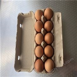 10枚鸡蛋保护托-卓尔纸塑-出售热压纸托