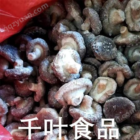 滨州出口级香菇丁 食用菌