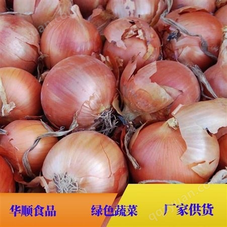 紫红皮洋葱头黄圆葱 食用农产品 蔬菜种植 华顺食品