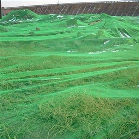 盖土网 盖土防尘网 空旷地盖土网 绿色盖土网 优质盖土网