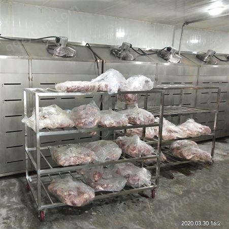 鸡肉低温高湿解冻机 隆力达758 支持定制 冻羊肉 鸽子肉解冻