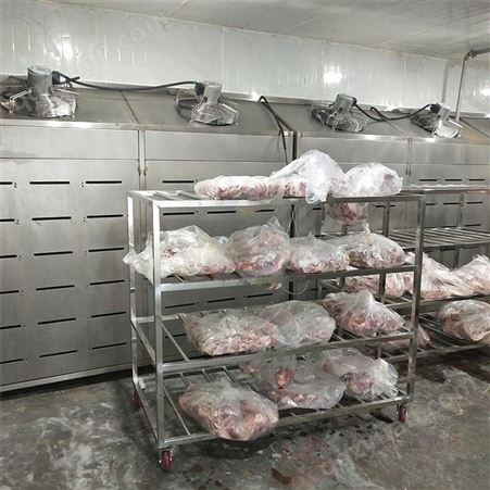 猪肉解冻设备 肉制品解冻设备 进口羊肉解冻机 山东隆力达