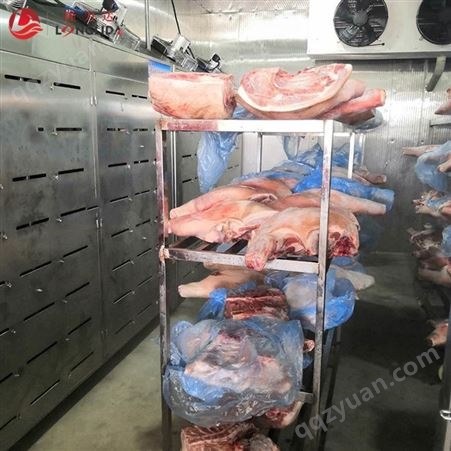进口牛羊肉缓化机 牛肉解冻设备 冻牛羊肉低温高湿解冻机 实体厂家定制 隆力达机械