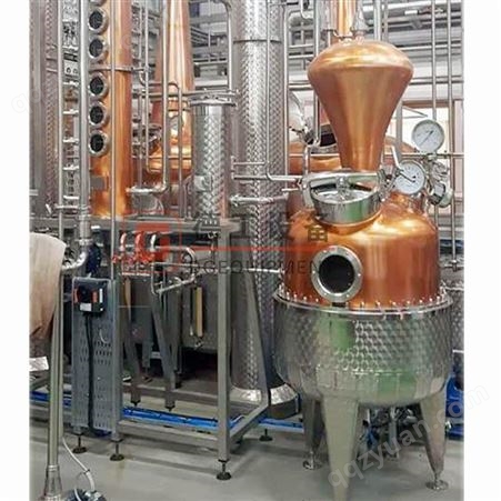 德工设备500L 1000L铜/SUS304电动/蒸汽55%95%伏特加金酒威士忌白兰地蒸馏机