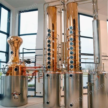 山东德工设备 酿酒设备 500L不锈钢或铜 蒸馏 伏特加 朗姆酒 白兰地出售
