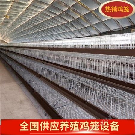 鹤壁鸡笼子批发 层叠式鸡笼 母鸡养殖笼 扶贫鸡笼项目