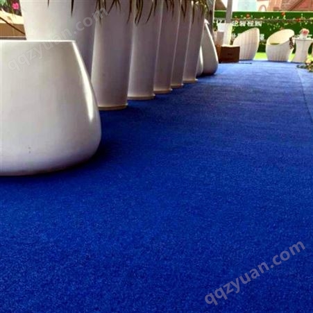 丝圈地毯厂家 安耐丝圈地垫PVC丝圈防滑地垫星级酒店卫生间防水耐磨