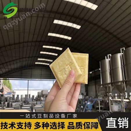 蚌埠全自动豆干设备 盛隆豆干机厂家 自动上渣三联磨