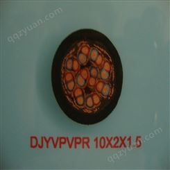 ZR-DJYPV22-12*2*1  阻燃铠装双绞屏蔽电缆 预定低价