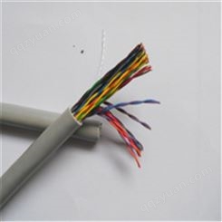HSYVP10*2*0.5 大对数电缆  预定低价