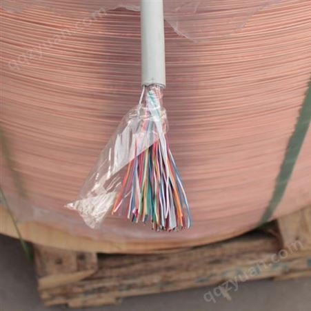 HSYVP50*2*0.5大对数屏蔽电缆预定低价