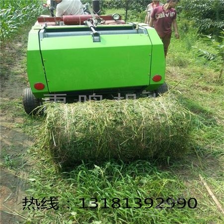 拖拉机牵引小型稻麦玉米秸秆牧草捡拾打捆一体机 圆捆打包机