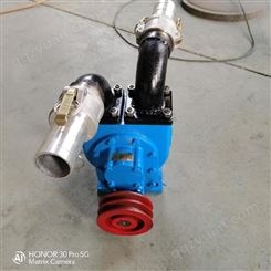 驰通厂家供应YHCB圆弧齿轮泵 汽车油泵 车载泵 不锈钢尼龙轮车载泵