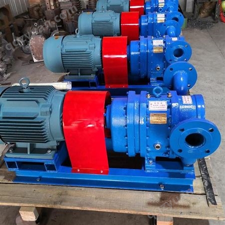 驰通支持定制工业型转子泵 输送污泥转子泵 输送油渣转子泵