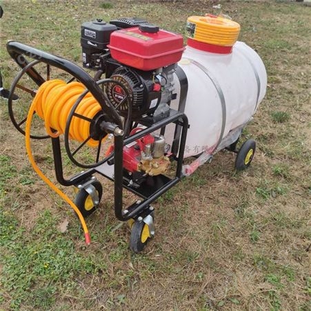 YC-PWQ远射程高压泵喷雾机 手推消毒喷雾器 宇晨猪圈火碱消毒车
