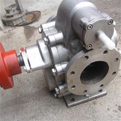 驰通定做RY型导热油泵 不锈钢齿轮油泵 锅炉循环用热 保温夹套泵